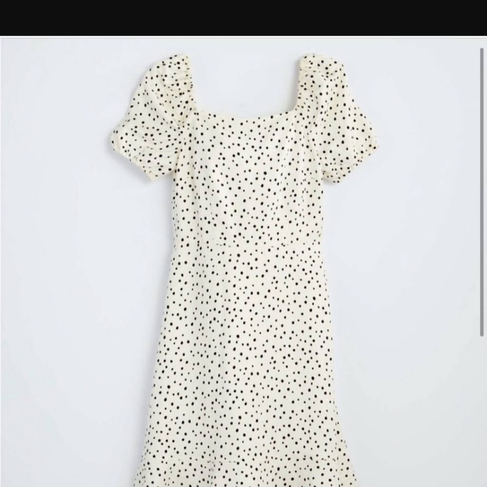 Loft Plus size white polka dot dress